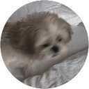 litheng. profile picture
